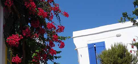 Maisons & Villas à Sifnos