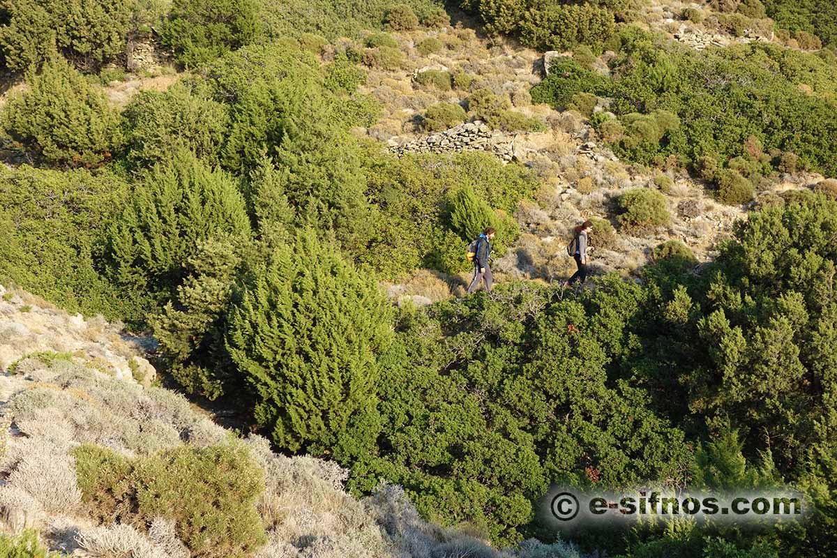 Marcher sur le chemin menant à Flabouro, dans un jour d'automne