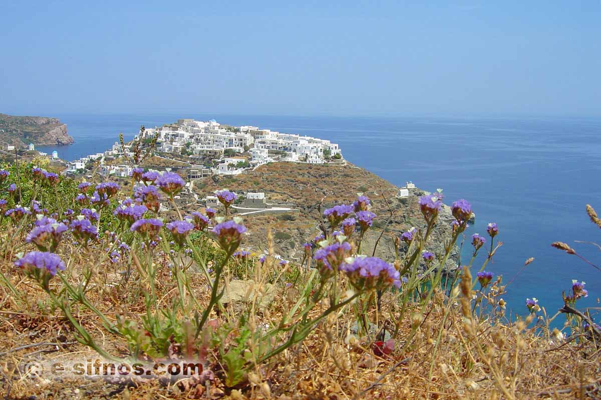 Le sentier qui mène à Kastro, avec des fleurs