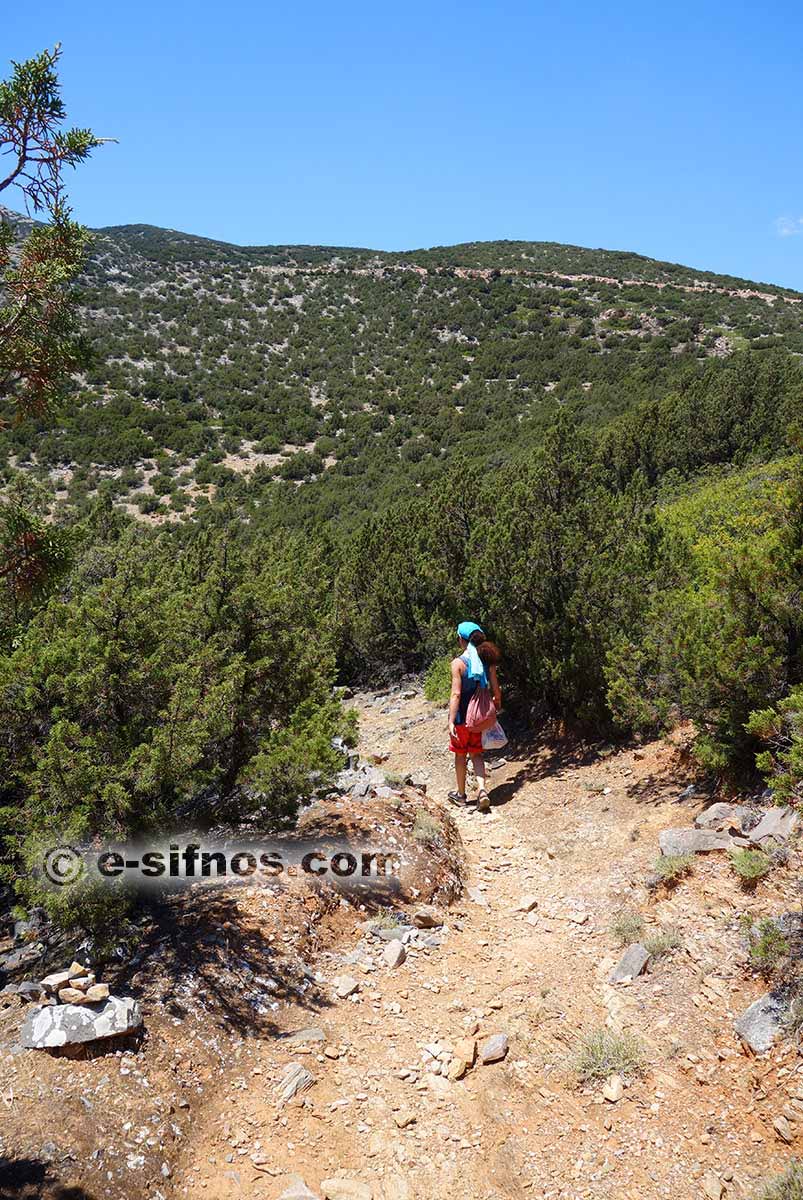 Le chemin de Platis Gialos à la plage Fikiada